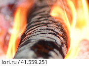 Hot coals in the stove. Стоковое фото, фотограф Леонид Еремейчук / Фотобанк Лори