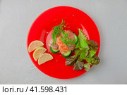 Sandwich with wholegrain bread, trout, greens, and salad laying on a red plate. Стоковое фото, фотограф Воловодов Владимир / Фотобанк Лори