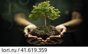 Plant protection in women's hands. Taking care of the environment. Generated by AI. Стоковое AI-изображение, AI-художник Ярославский Максим / Фотобанк Лори