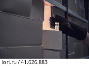 A man hand in a black glove picks up the last medicines from the warehouse. Virus vaccination problems and insufficient medication. Стоковое фото, фотограф Андрей Журавлев / Фотобанк Лори