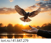 A man and a pigeon in flight against the background of the setting sun.Generated by AI. Стоковое AI-изображение, AI-художник Ярославский Максим / Фотобанк Лори