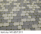 Industrial building background of paving slabs with overgrown with moss in the cracks. Texturing background. Стоковое фото, фотограф Леонид Еремейчук / Фотобанк Лори