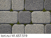 Industrial building background of paving slabs with overgrown with moss in the cracks. Texturing background. Стоковое фото, фотограф Леонид Еремейчук / Фотобанк Лори