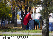The workers of the municipality collect leaves in the park. Women social workers removed the foliage. (2016 год). Редакционное фото, фотограф Леонид Еремейчук / Фотобанк Лори