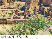 Archaeological excavation in antique Carthage on the hill Byrsa. Roman ruins and Carthage built of the Punic time in Tunisia. (2019 год). Стоковое фото, фотограф Андрей Журавлев / Фотобанк Лори