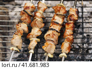 Closeup image of cooking delicious barbecue, shish kebabs with onion on the grill with coals. Appetizing pieces of meat are fried on metal skewers. Holidays in the nature. Tasty picnic in forest. Стоковое фото, фотограф YuryKara / Фотобанк Лори