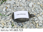 Low internet. A bad internet symbol. Low download speed. Slow internet. Ordinary river tortoise of temperate latitudes. The tortoise is an ancient reptile. Стоковое фото, фотограф Леонид Еремейчук / Фотобанк Лори