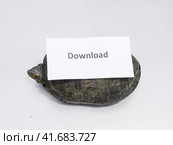 Download. A bad internet symbol. Low download speed. Slow internet. Ordinary river tortoise of temperate latitudes. The tortoise is an ancient reptile. Стоковое фото, фотограф Леонид Еремейчук / Фотобанк Лори