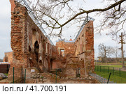 Гольшанский замок, руины замковой стены (2023 год). Редакционное фото, фотограф Ирина Яровая / Фотобанк Лори