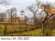Гольшанский замок, Беларусь (2023 год). Редакционное фото, фотограф Ирина Яровая / Фотобанк Лори