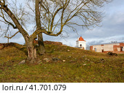 Гольшанский замок, Беларусь (2023 год). Редакционное фото, фотограф Ирина Яровая / Фотобанк Лори