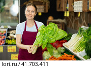 Woman seller of garden stuff store replenishing showcase, puts salad mangold on showcase. Стоковое фото, фотограф Яков Филимонов / Фотобанк Лори