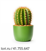 Single cactus in a frosted green pot on a white background. Стоковое AI-изображение, AI-художник Евгений Харитонов / Фотобанк Лори