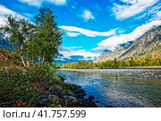 Река Чулышман. Горный Алтай. Стоковое фото, фотограф Макаров Алексей / Фотобанк Лори