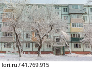 Двор старой панельной хрущевки зимой. Россия, Владивосток (2022 год). Стоковое фото, фотограф Денис Станиславович Кабелев / Фотобанк Лори