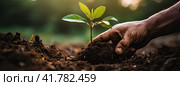 A man's hand is hoeing a young green sprout with earth. The concept of caring for a new generation. Стоковое AI-изображение, AI-художник Ярославский Максим / Фотобанк Лори