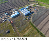 Frameworks of greenhouses, top view. Construction of greenhouses in the field. Agriculture, agrotechnics of closed ground. Стоковое фото, фотограф Леонид Еремейчук / Фотобанк Лори