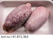 Bull testicles on a white plastic tray. Стоковое фото, фотограф Iva Noel / Фотобанк Лори
