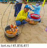 Sale of cooked seafood on the beach in Nha Trang (2014 год). Редакционное фото, фотограф Олег Жуков / Фотобанк Лори