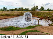Царицынский источник. Старая Русса, Новгородская область (2020 год). Стоковое фото, фотограф Александр Щепин / Фотобанк Лори