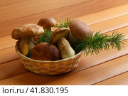 Basket with porcini mushrooms. Стоковое фото, фотограф Олег Жуков / Фотобанк Лори