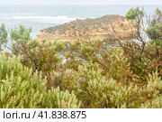 Beautiful small island near Great ocean road, Port Campbell National Park, Victoria, Australia (2009 год). Стоковое фото, фотограф VittoriaChe / Фотобанк Лори