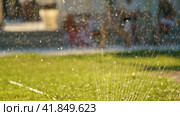Defocused photography of water drops in the air in the hot summer day. Green fresh lush foliage as background. Irrigation of lawn. Стоковое фото, фотограф YuryKara / Фотобанк Лори