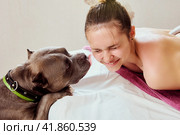Woman squints and laughs when dog licks her face while standing next to her bed. Стоковое фото, фотограф Владимир Григорьев / Фотобанк Лори