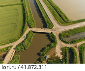 The rice fields are flooded with water. Flooded rice paddies. Agronomic methods of growing rice in the fields. Стоковое фото, фотограф Леонид Еремейчук / Фотобанк Лори