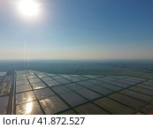 The rice fields are flooded with water. Landscape in front of the sun. Flooded rice paddies. Agronomic methods of growing rice in the fields. Стоковое фото, фотограф Леонид Еремейчук / Фотобанк Лори