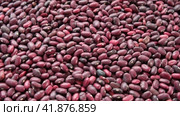 Kidney beans spinning background. Dry red bean wallpaper. Texture. Frame with copy space. Lots of Beans rotating on turntable. Close up. Diet, vegetarianism. Healthy Food. Legume grains. 4k real time. Стоковое видео, видеограф Марина Демидюк / Фотобанк Лори