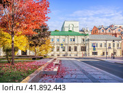 Разноцветная осенняя листва и Большая Никитская, площадь Чайковского, Москва (2021 год). Стоковое фото, фотограф Baturina Yuliya / Фотобанк Лори