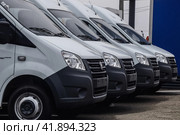 Gazelle cars in a car market are in a row. (2019 год). Редакционное фото, фотограф Леонид Еремейчук / Фотобанк Лори