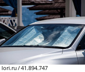 Protection of the car panel from direct sunlight. Sun Reflector windscreen. Стоковое фото, фотограф Леонид Еремейчук / Фотобанк Лори