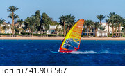 windsurfing in the blue water on the background of the beach with umbrellas and palm trees in Egypt Dahab South Sinai. Стоковое фото, фотограф Артем Курутин / Фотобанк Лори