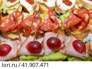 Канапе с колбасой, мясом, салатом, сыром, огурцами и виноградом.  Закуска на шпажках. Стоковое фото, фотограф Pukhov K / Фотобанк Лори