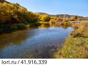 Autumn landscape. Yellow trees and bushes on the bank. Стоковое фото, фотограф Виктория Тельминова / Фотобанк Лори