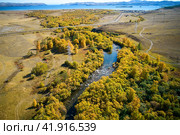 Autumn landscape from the air. Yellow trees on the river bank. Sarma River , Lake Baikal. Стоковое фото, фотограф Виктория Тельминова / Фотобанк Лори