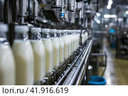 Robotic factory line for processing and bottling of milk. Стоковое AI-изображение, AI-художник Margarita Davchenko / Фотобанк Лори