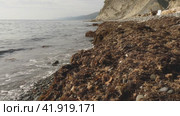 Крупный план морского берега с сухими пятнами водорослей и камнями. Скалы и серое небо на заднем плане. Волны бьются о водоросли. Стоковое видео, видеограф Воловодов Владимир / Фотобанк Лори