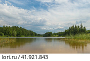 Осенний пейзаж озеро лес и облачное небо. Стоковое фото, фотограф Оксана Владимировна Грачева / Фотобанк Лори