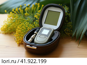 A set for measuring blood glucose, a glucose meter, a piercing device and test strips in a black case on a white background with a palm leaf and copy space. Control of diabetes. Стоковое AI-изображение, AI-художник Ирина Михайличенко / Фотобанк Лори