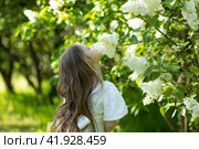 Cute little girl in white dress laughing in spring park near lilac. child smells lilac. Стоковое фото, фотограф Ирина Михайличенко / Фотобанк Лори
