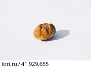 Stone of gallbladder. The result of gallstones. A calculus of heterogeneous composition. Стоковое фото, фотограф Леонид Еремейчук / Фотобанк Лори