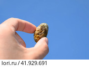 calculus of heterogeneous composition against a blue sky. Стоковое фото, фотограф Леонид Еремейчук / Фотобанк Лори