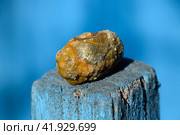Gall bladder stone. Calculus of heterogeneous composition. Стоковое фото, фотограф Леонид Еремейчук / Фотобанк Лори