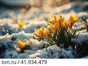 Yellow crocuses in the snow,Generative AI. Стоковое AI-изображение, AI-художник Анна Кривицкая / Фотобанк Лори