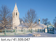 Старинная Церковь Покрова Пресвятой Богородицы (Церковь иконы прибавления ума, 1674г.) морозным январским днем. Тутаев (2024 год). Стоковое фото, фотограф Виктор Карасев / Фотобанк Лори