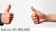 Two male hands showing a thumbs up opposite each other on a white background. The concept of mutual approval. Isolated. Стоковое AI-изображение, AI-художник Ярославский Максим / Фотобанк Лори