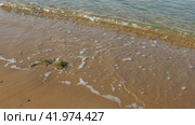 Кромка воды на песчаном пляже. Стоковое видео, видеограф Садовский Анатолий / Фотобанк Лори